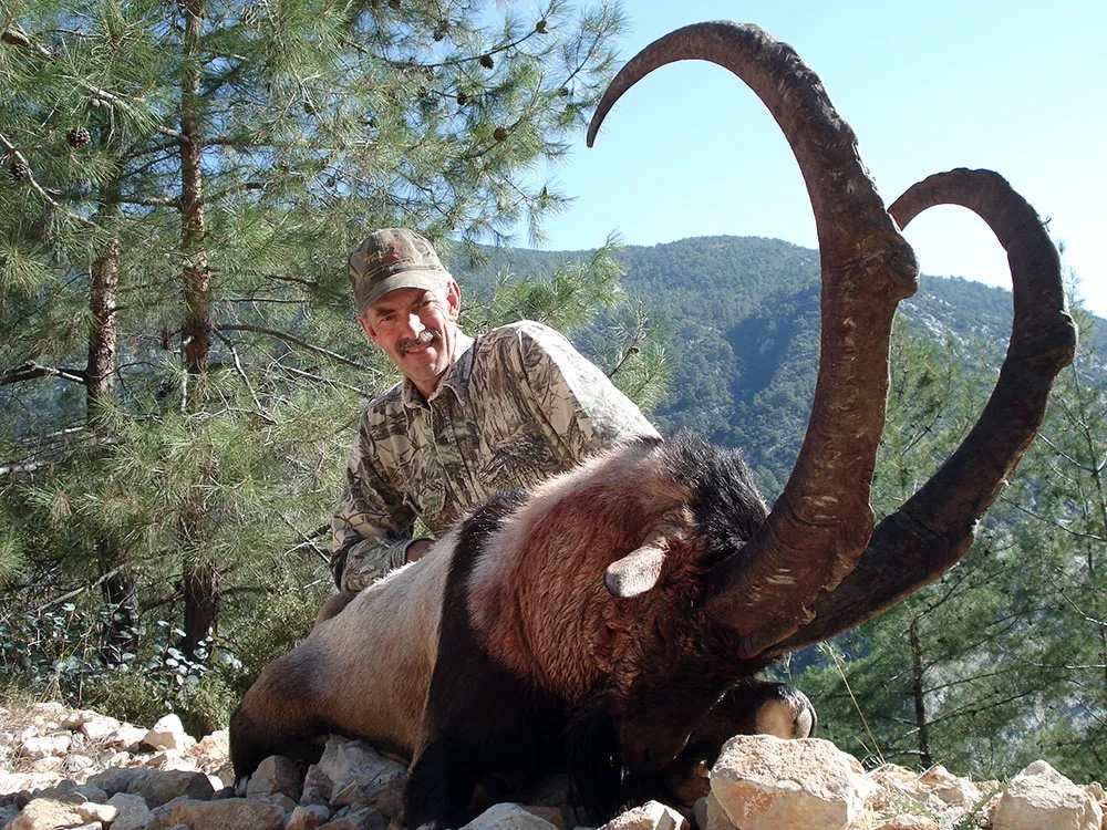 Story Bezoar Ibex Hunting in Turkey