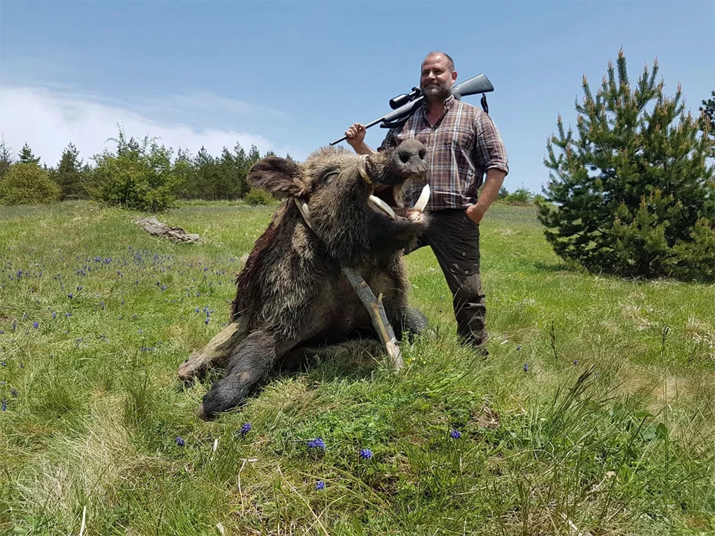 Caza de Rececho de Jabalí en Turquia